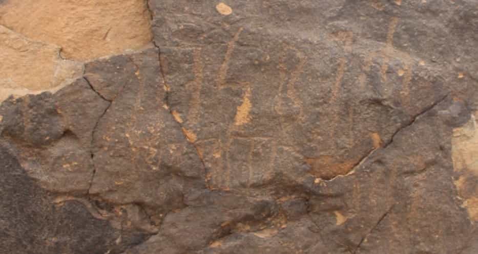 الشرعي جبل العرق 146